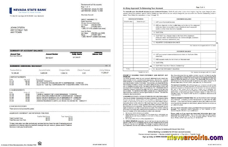 USA Nevada State Bank business checking st 4 pages